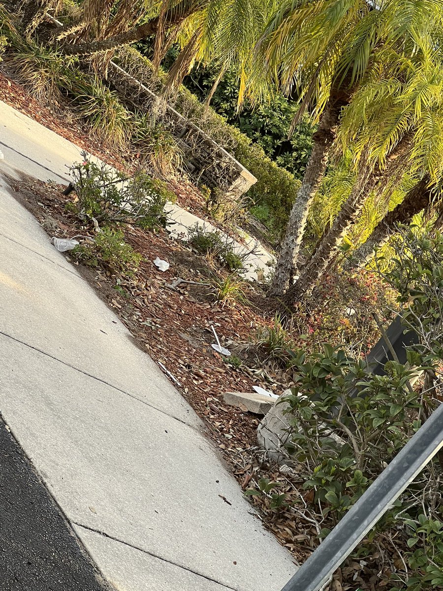 The <a href="/SonnysBBQ/">Sonny's BBQ</a> location at 7055 Semoran Boulevard Orlando always looks like a mess with trash strewn everywhere; by the front door &amp; in the parking lot.