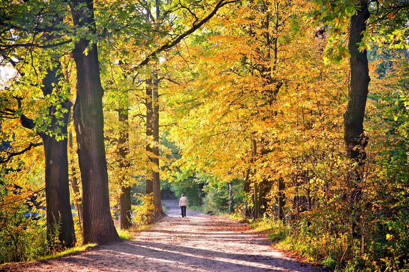 Luminoso inicio de semana con el amplio escenario de un amanecer que insufla las mas vitales energías para emprender con determinación  Que les sea propicio para grandes éxitos y satisfacciones!