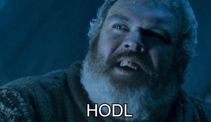 Ola Ξlixir tweet media