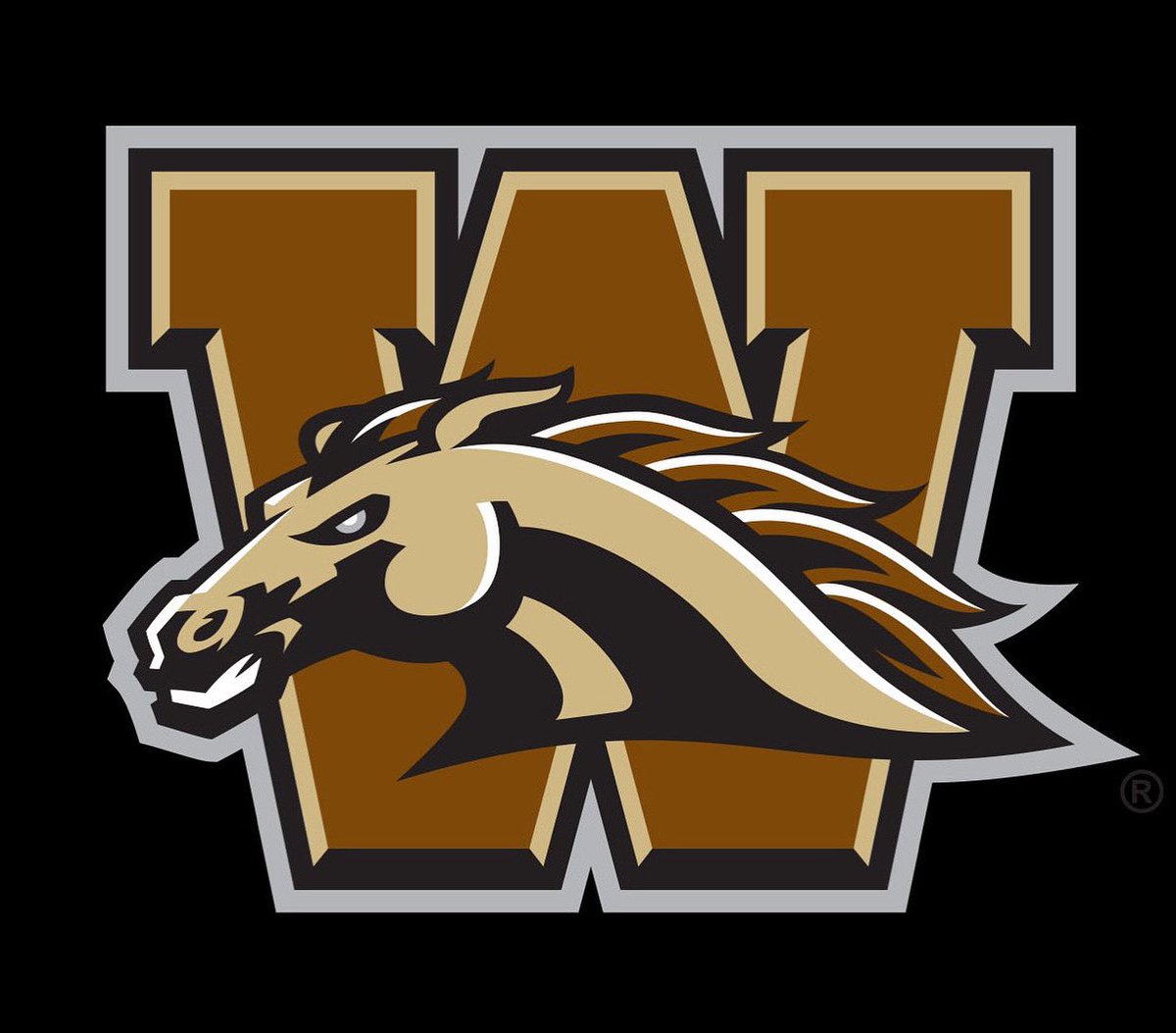 I am extremely blessed and excited to announce my commitment to play division 1 hockey at Western Michigan University! I wanna thank God, family, friends, coaches and my teammates for supporting me.