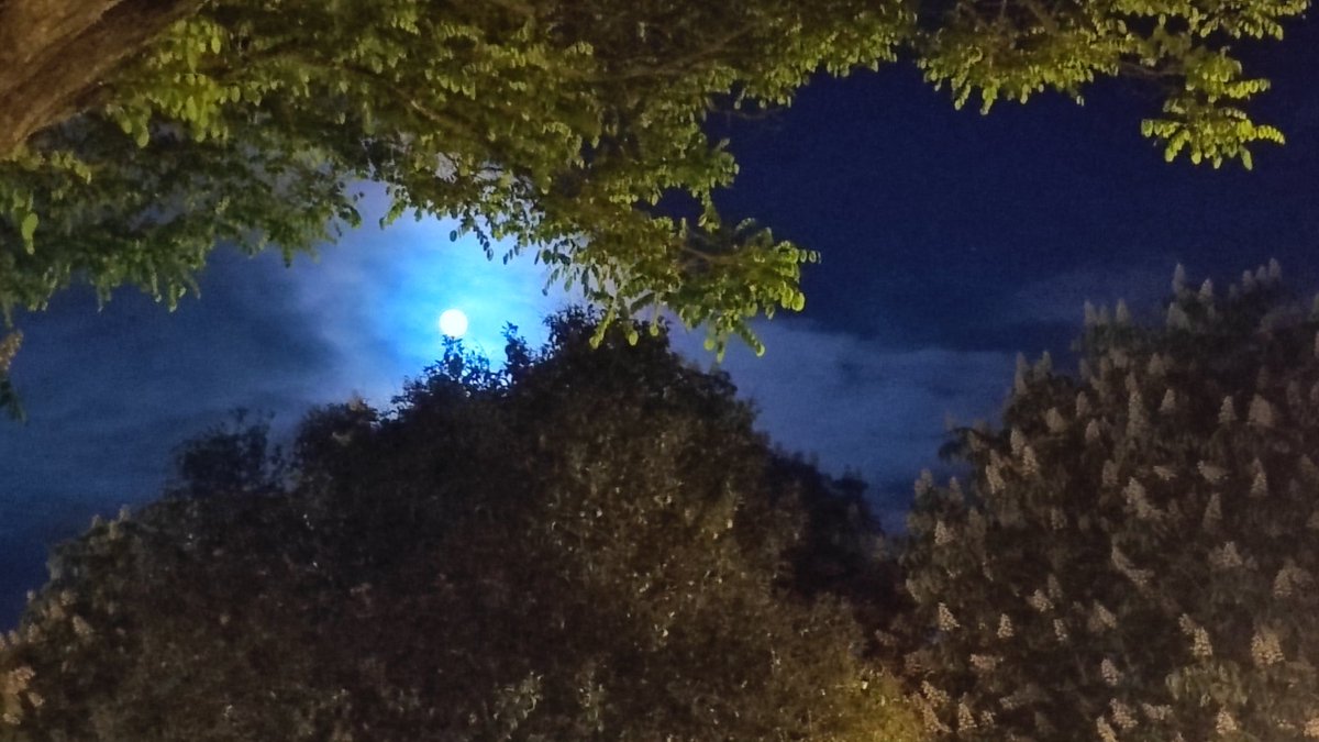 Nuria Ballesteros (@nuriadiablo666) on Twitter photo Vaya noche interesante se está quedando. Primero <a href="/rutasmisteriosa/">Rutas Misteriosas</a> y ahora fiestas de Nava. La luna llena empieza a hacer efecto. #leonesp Vaya noche interesante se está quedando. Primero <a href="/rutasmisteriosa/">Rutas Misteriosas</a> y ahora fiestas de Nava. La luna llena empieza a hacer efecto. #leonesp