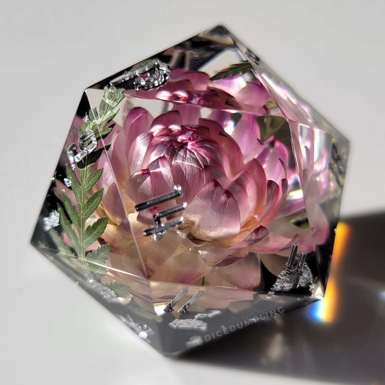 Dice Dumpling (dicedumpling) / Twitter