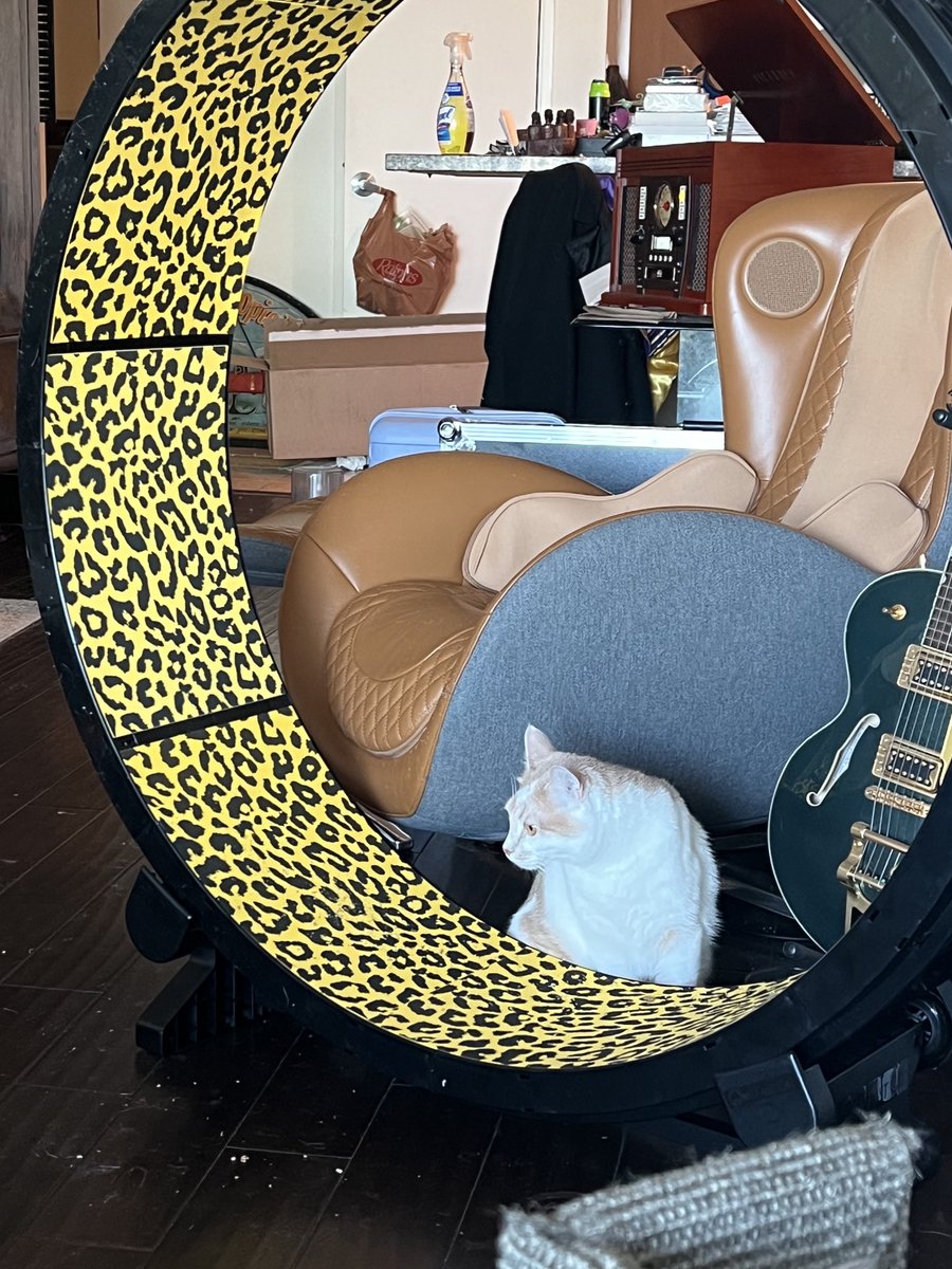 TonyTodd54's tweet photo. #Caturday #OneFastCat or an expensive #Foodtray https://t.co/avHO9Gzezg
