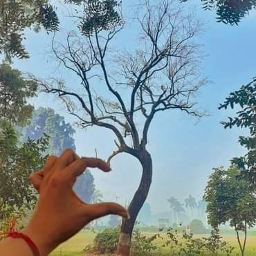 Bereshit2815's tweet photo. #Naturelover 💚🍃 https://t.co/q9vRnC5x0N