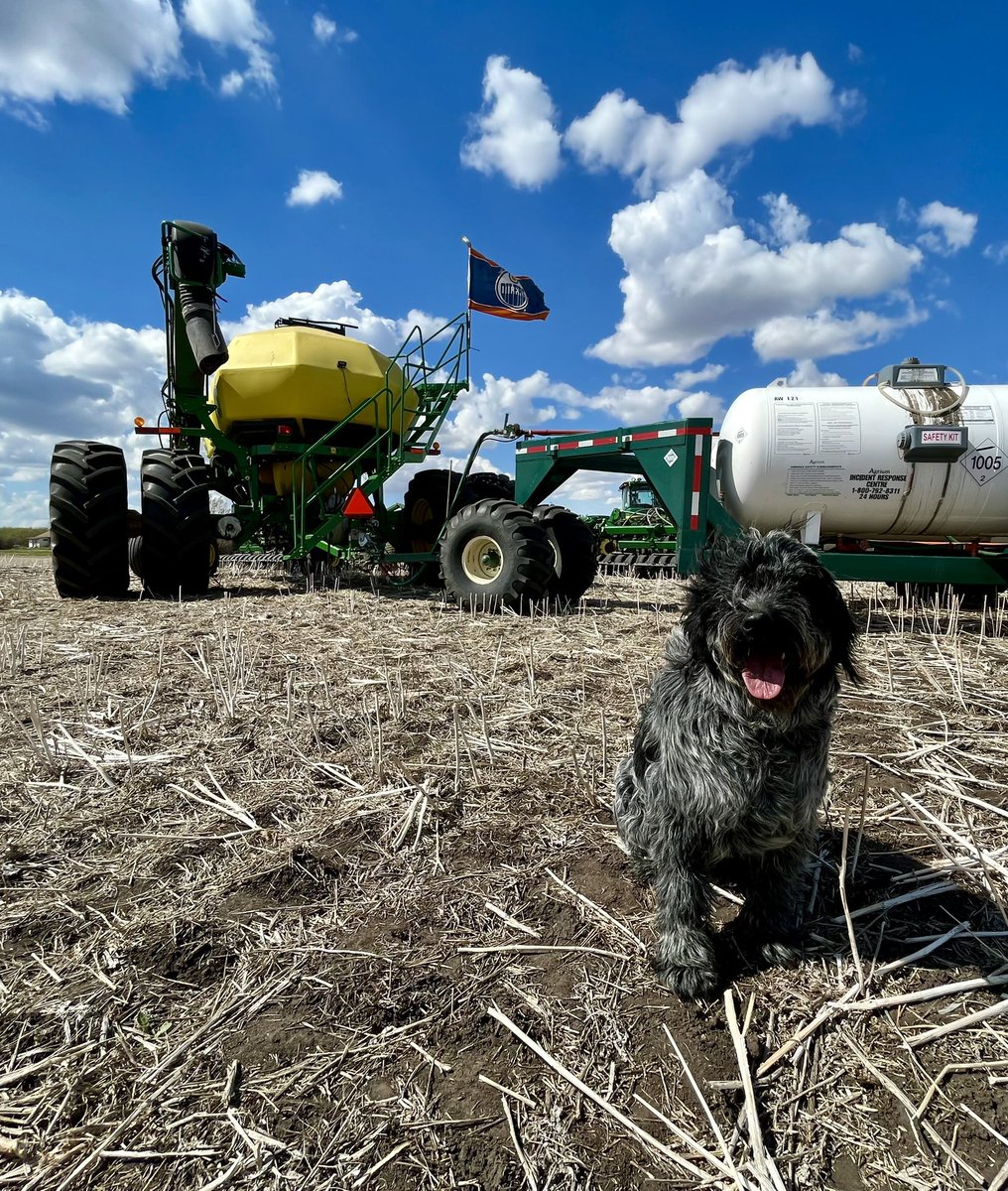 Rachael Woitas tweet media