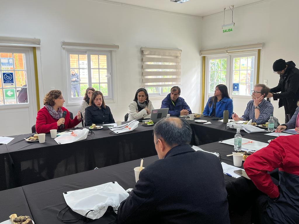 EnergiaValpo's tweet photo. Seremi #ArifeMansur, gabinete regional y alcaldes de #Quintero #Puchuncaví y #Concón recibieron al Relator Especial de la @ONU_es sobre DDHH y Medio Ambiente♻️, #DavidBoyd quién desde su experiencia habló sobre la Transición Ecológica Justa, analizando situación de la zona✅ https://t.co/pVhH0NvA7U