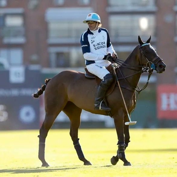 gloriallopiz's tweet photo. #polo Murió la #Cuartetera, una yegua emblemática, un caballo único que deja huella en su paso por los campeonatos. Deja mucho más que sus maravillosos clones.
Un gran rayo de luz nos regala la Cuartetera por siempre y para siempre. D.E.P
“La mejor de toda la historia” Adolfito https://t.co/4ZOPWOe80d