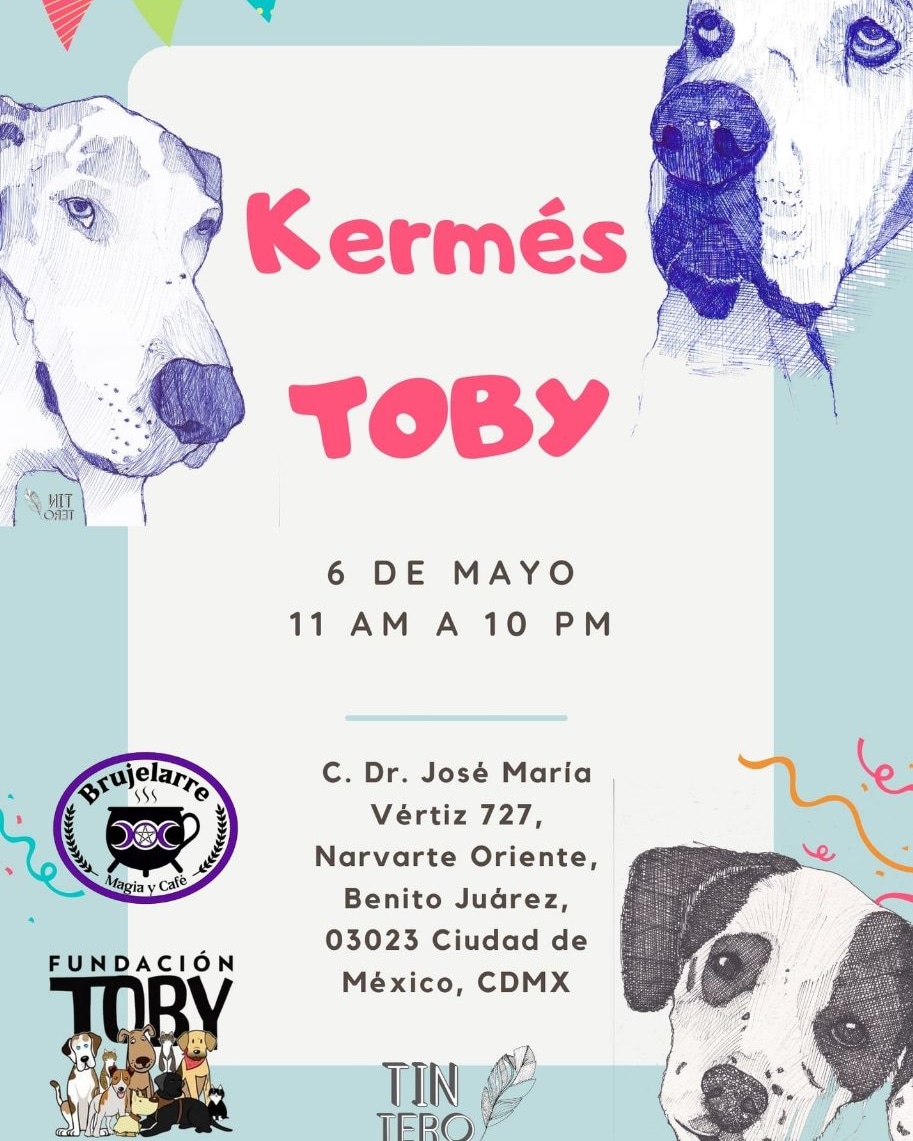 FundacionToby's tweet image. 😍