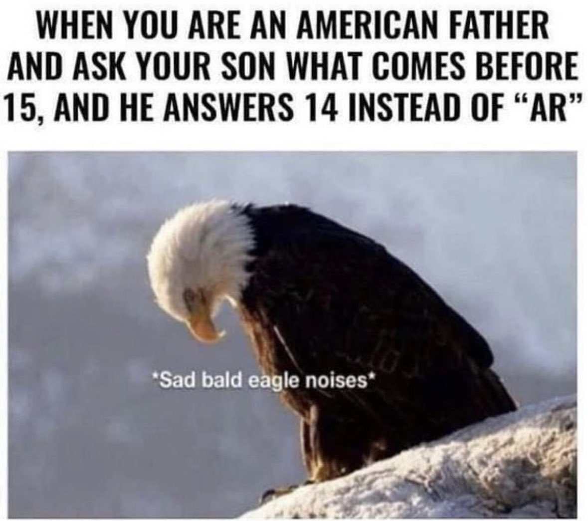 libertysafeinc's tweet image. *sad bald eagle noises* #libertysafe
#alwaysprotected #madeinusa