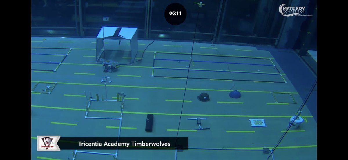 Ms Tissel tweet media