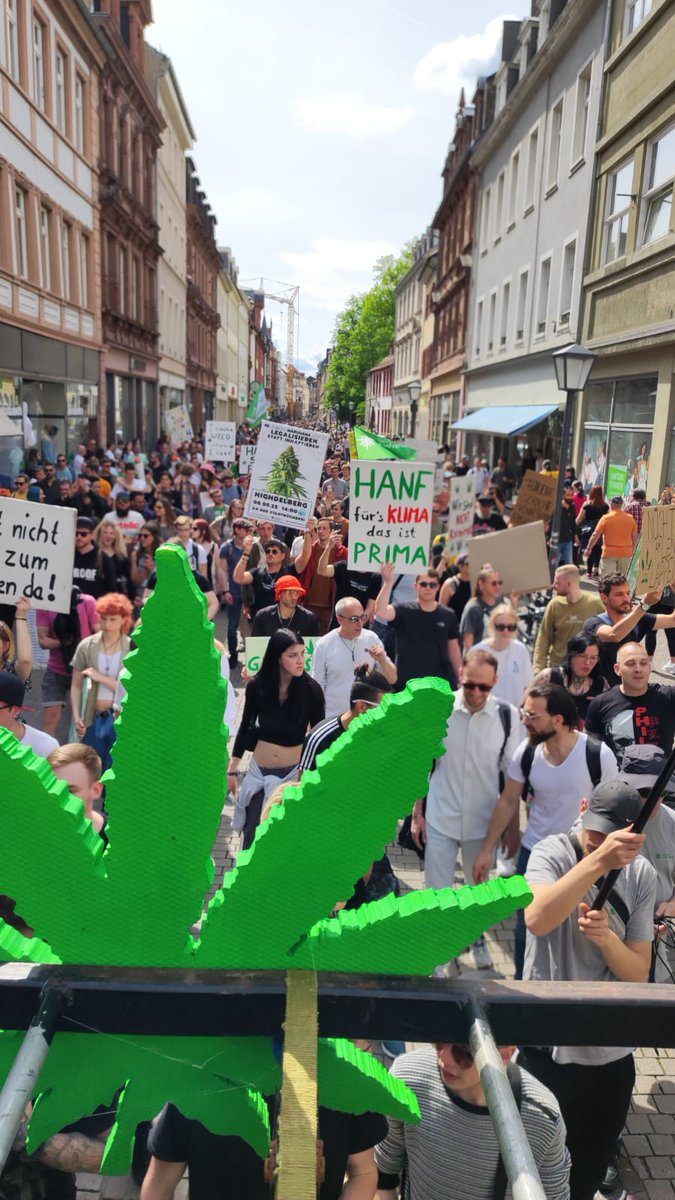 #GMM23 #Legalisierungjetzt #Heidelberg