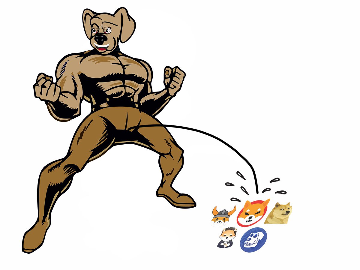 $BOJI world order.

#SHIB #FLOKI #MemeCoinSeason #memecoin $PEPE $DOGE