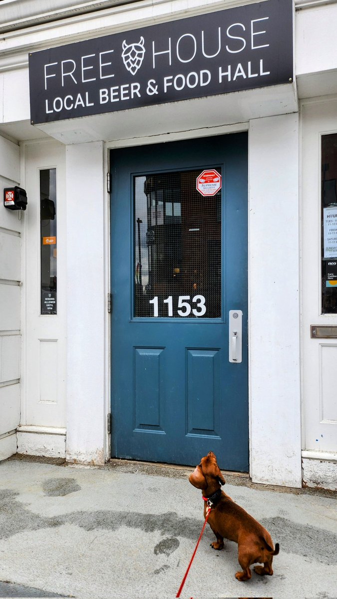 Schnapps - Adventure Dackel tweet media