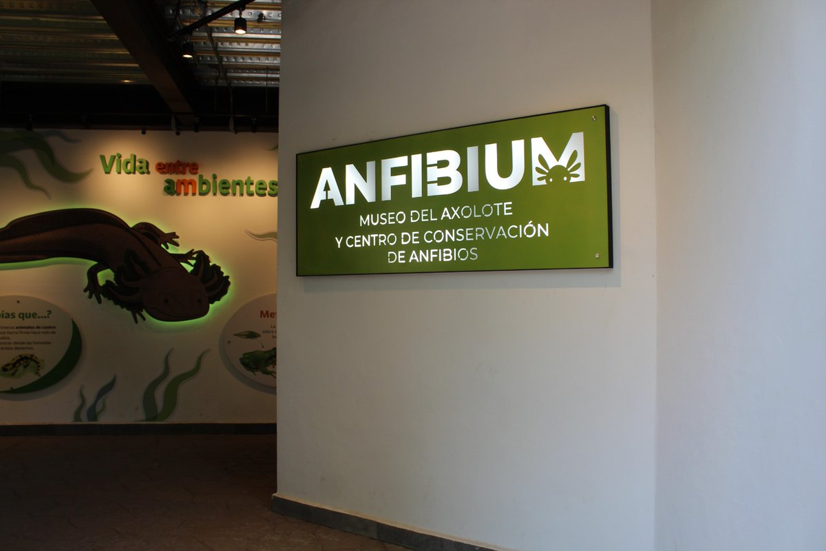 @locatel_mx on Twitter: "RT @SEDEMA_CDMX: El Anfibium, Museo del