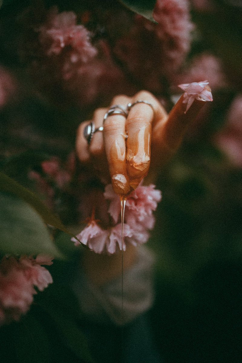 Spring 🍯 🌸 
In frame is @sterlingvesper 

This is in my printshop!