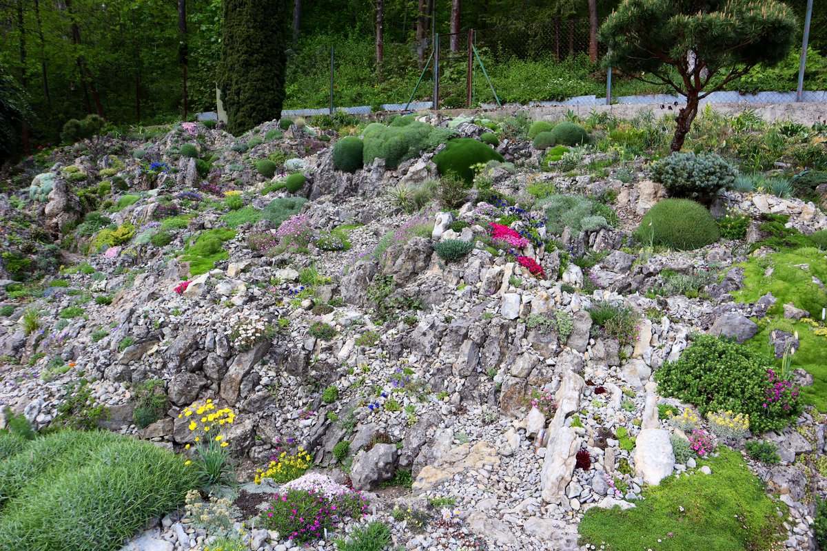 Steep limestone and tufa garden the home of Stanislav Čepička one word to describe it wow!