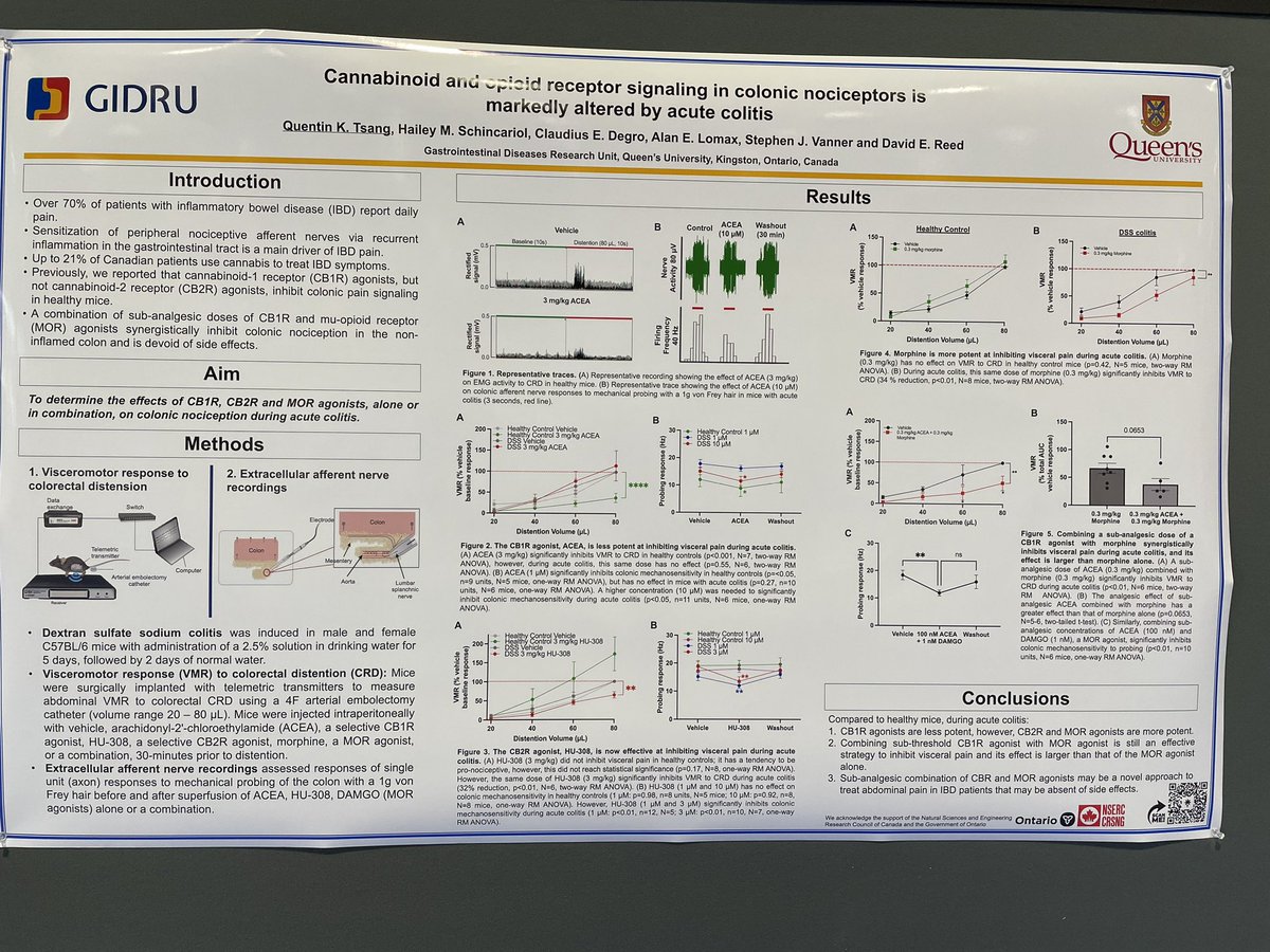 Excited to have presented my work at #DDW2023 <a href="/DDWMeeting/">Digestive Disease Week</a> where we showed that cannabinoid and opioid signalling is altered in acute colitis! Check out the abstract here: linktr.ee/quentintsang