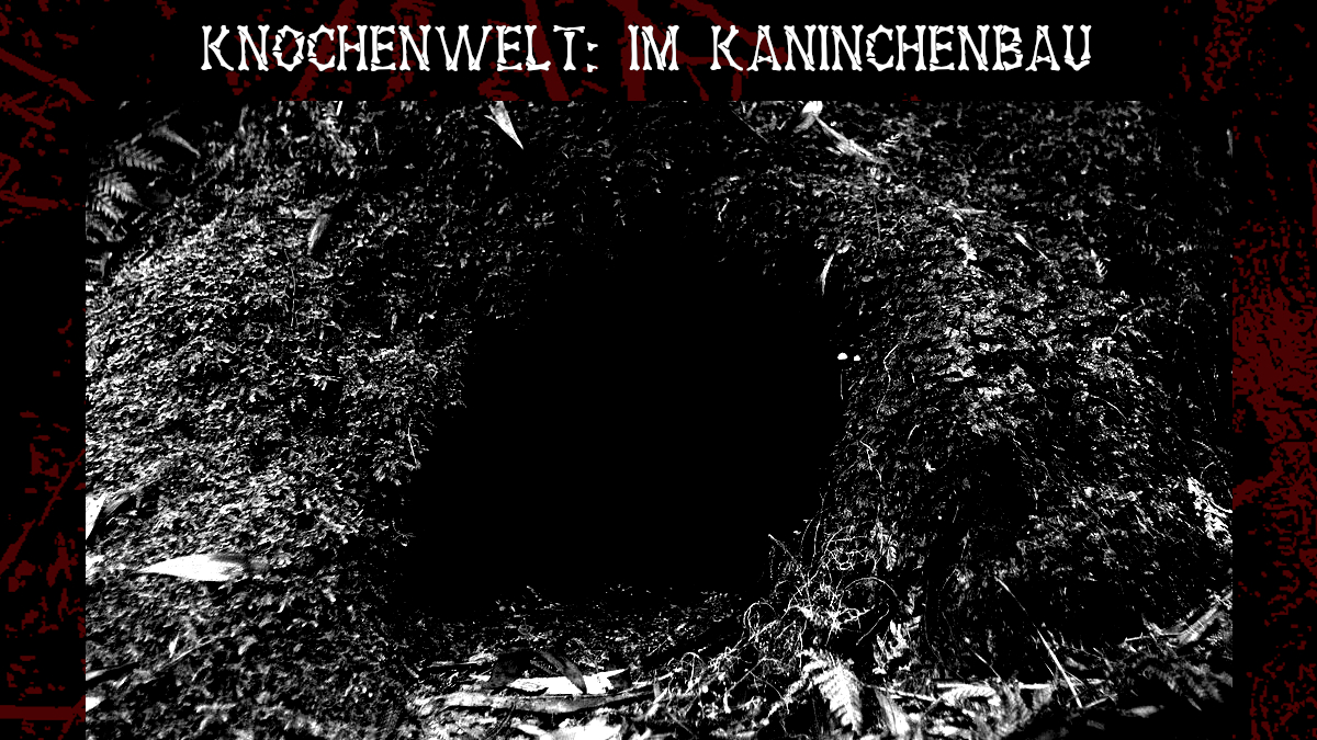 AngstkreisCP's tweet photo. Es ist soweit. An diesem #Knochensonntag steigen wir hinab in die Tiefen des Knochenwalds und lüften die Geheimnisse der Drix Tschatha: https://t.co/T4O2qIPkHD
#Knochenwald #Knochenwelt https://t.co/RgKLQjRPJa