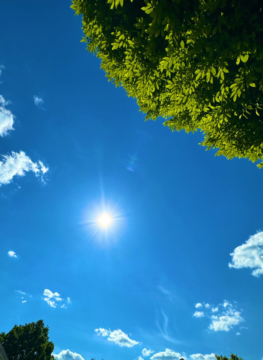 𝔸𝕝𝕝𝕚𝕤𝕠𝕟 ℍ𝕠𝕒𝕜 tweet media