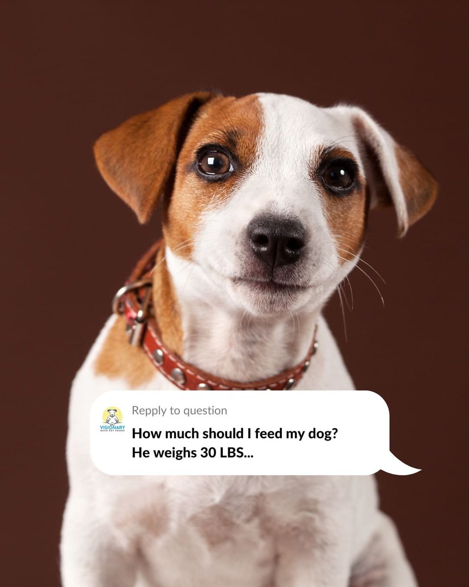 VisionaryPet's tweet photo. Our feeding guidelines are based on 16 calories per day per pound of ideal weight 💡 We recommend you start with this recommendation and adjust depending on if your dog is gaining or losing weight.

But how do you calculate your dog’s recommended feeding plan by calories? 🤔 You should start with the following equation:

Your dog’s ideal weight x 16 = Total recommended calories per day
Total calories (divided by) 658 = Cups per day of low carb dry food

👉 In this case, if your dog weighs 30 LBS, you would have to feed him 3/4 cup of Visionary kibble per day.

‼‼ If you're feeding the freeze dried medallions, you should know 1 medallion contains 16 calories. So we recommend you start by feeding 1 medallion per day per pound of target weight.

Have any questions about the low carb diet? Please, leave it in the comments so we can help you! 👇👇

#dognutrition #dogfeeding #dogdiet #canineenrichment #petnutrition #visionarypet #visionarypetfoods #visionarydog #dogfood #petfood #petfoods #dogfoodie