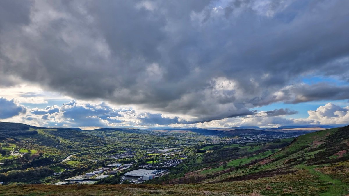 Tracy Purnell tweet media