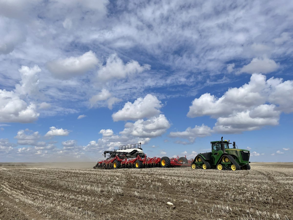 Katie Carefoot tweet media