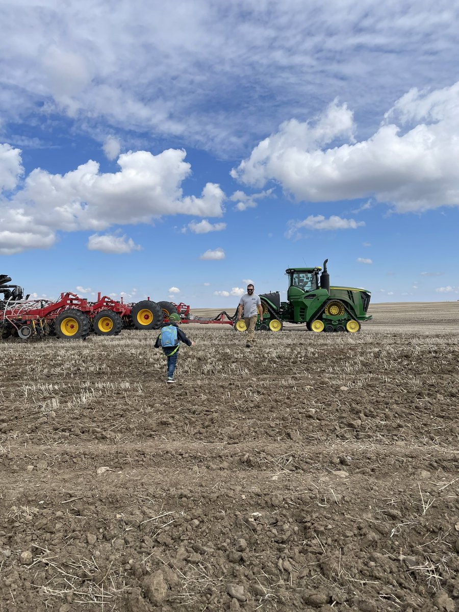 Katie Carefoot tweet media