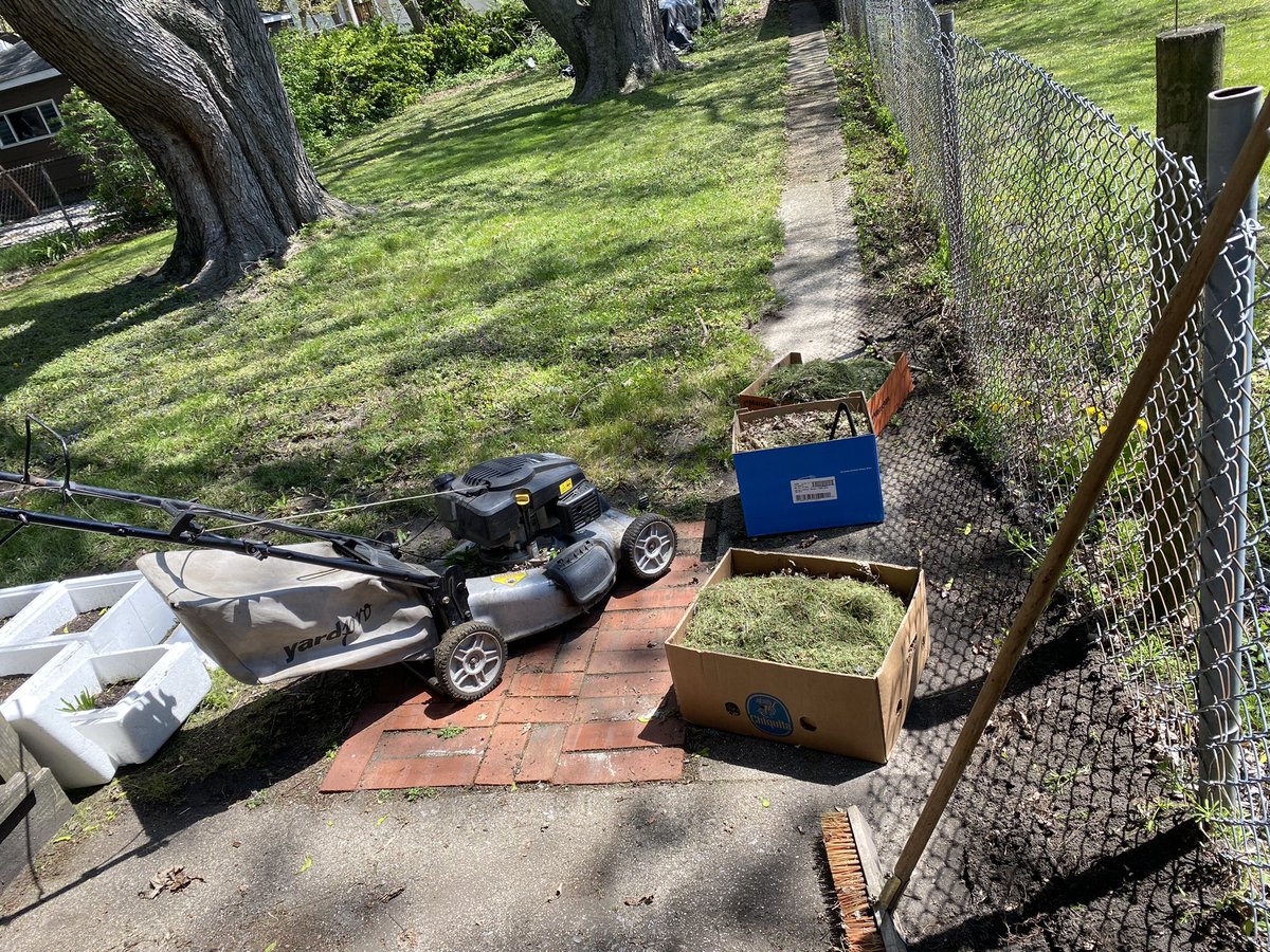 REKKHAN's tweet photo. The first cut of 2023 !
Cut/Tapered lawns, growing own food! My life , my therapy. Ya dig!
#RealMenWork #GrownFolkBusiness https://t.co/QnjUZthUHp