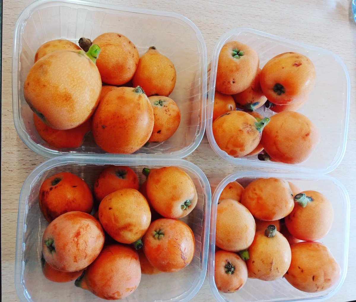 CEIPNEILL tweet media