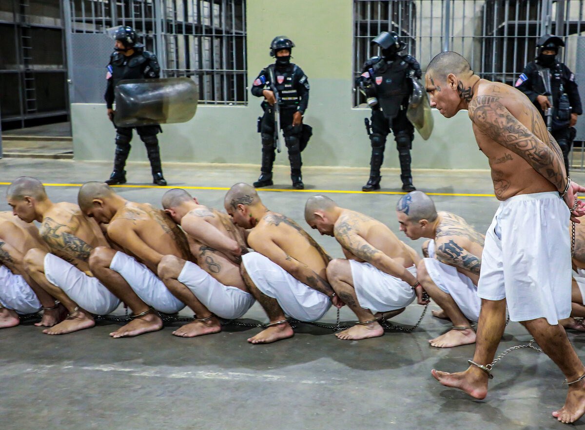 NayibBukeleDice's tweet photo. ¿Te gustaría que en tú país traten a los delincuentes, pandilleros, violadores y asesinos como los trata Nayib Bukele en El Salvador? https://t.co/uBt9AKhwAX