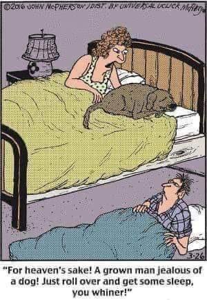 mltay85's tweet photo. This is why I am not married. Cats would be on the bed and hubby elsewhere.😅😂🤣

#cats #catsonfacebook #catsofinstagram #catsoftwitter #catsruletheworld #catthuglife https://t.co/72tfCj6P0m