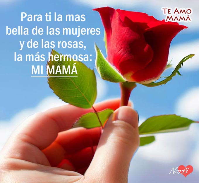 Para ti la mas bella de las mujeres y de las rosas, la más hermosa: Mi Madre
norfipc.com/facebook/frase…
¡Feliz #DiaDeLaMadre!