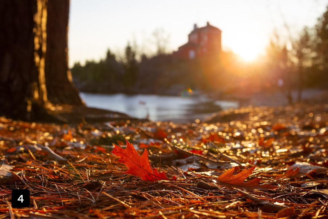 Bugsy Sailor tweet media