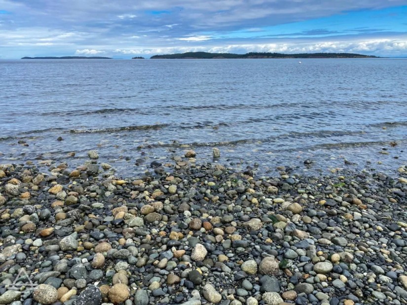 It might be small, but this beach has a lot to love. buff.ly/3McW7V3 #orcasisland