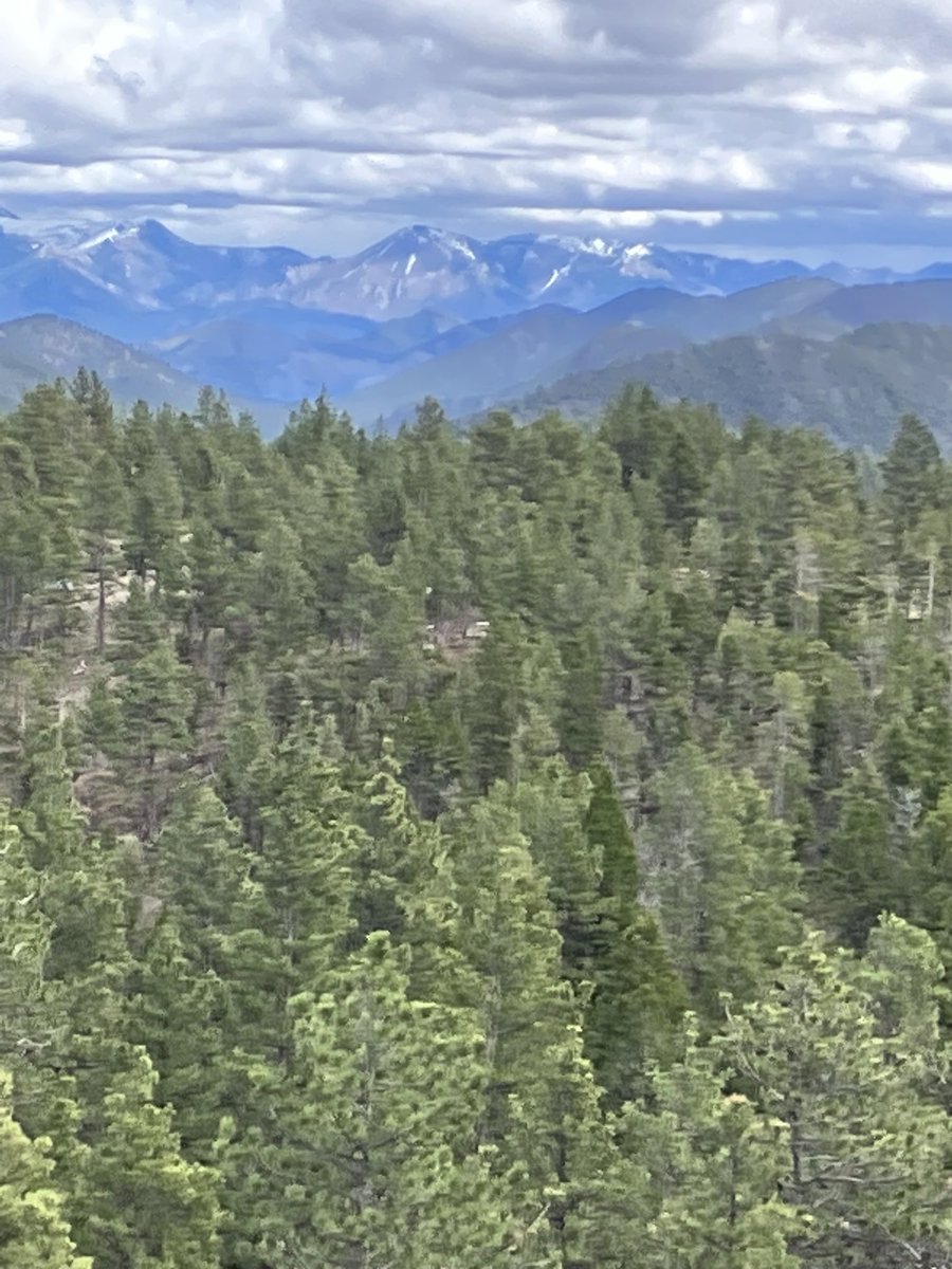 Jax (@jaxdoglife) on Twitter photo 