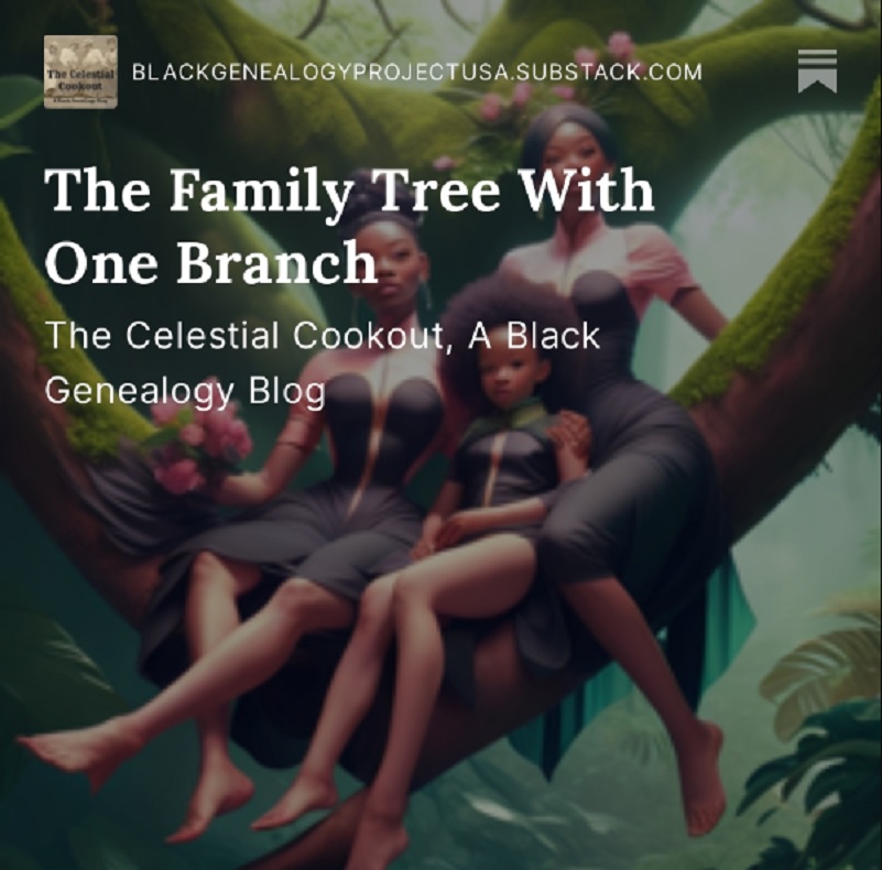 open.substack.com/pub/blackgenea…

#BlackGenealogy #Genealogy #DNA #Adoption #Ancestry #FamilyResearch #FamilyTree