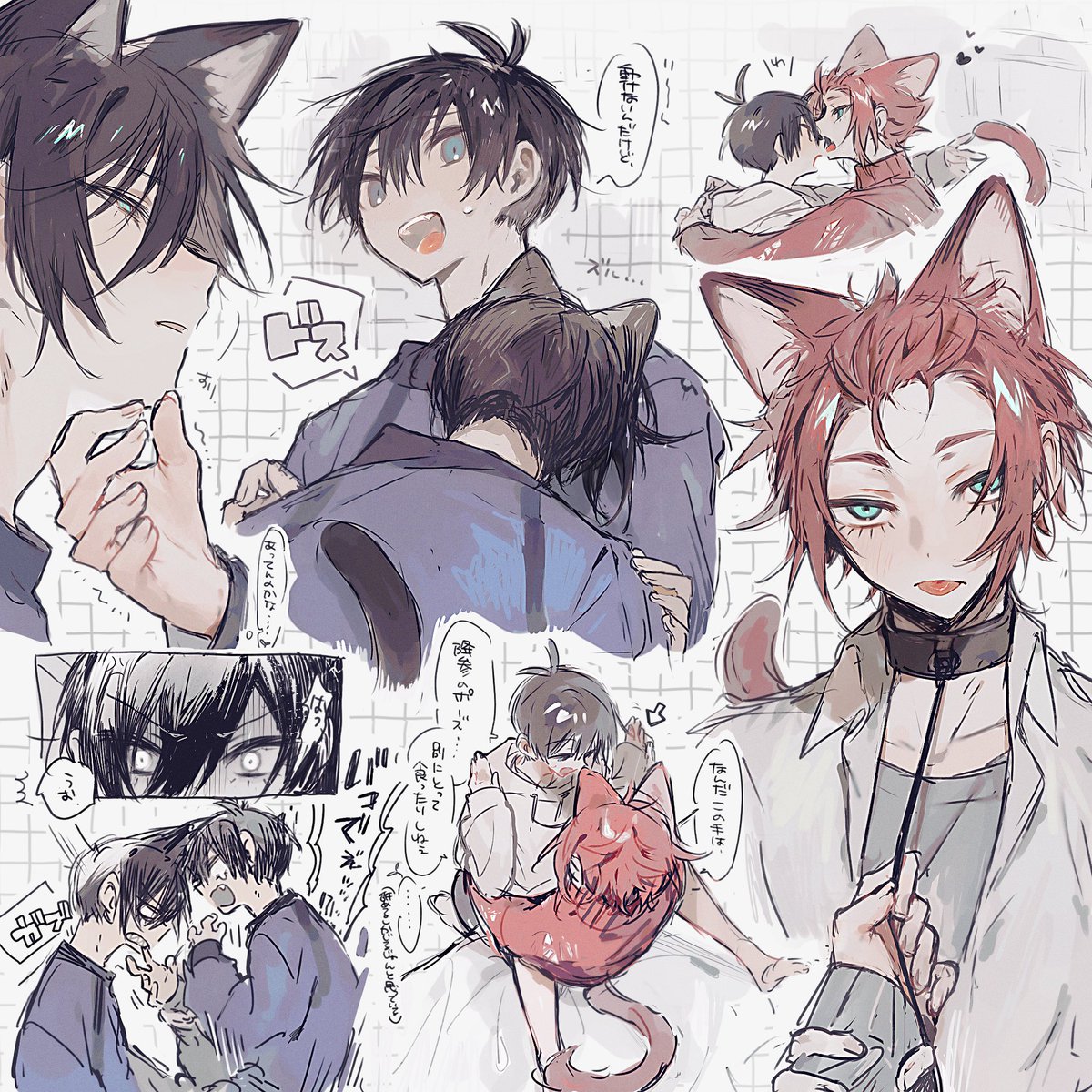 しぃ❤︎꙳✩꙳⋆☃ページ seis / rnis ※🐈🐕みみ