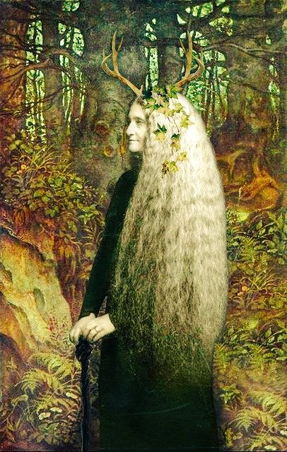 The Ancients Of Avalon (@theavalonians) / Posts / X