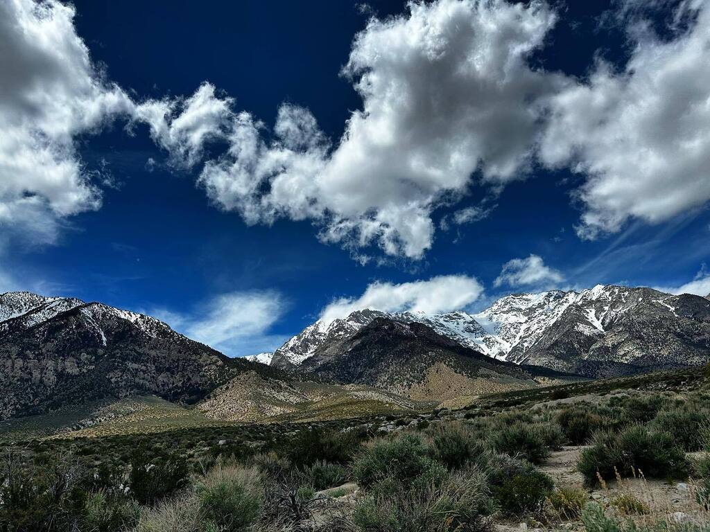 Bikepacking sucks 
.
.
.
#bikecommute #thingsisawonmybike #outsideisfree #optoutside #lifebehindbars #grizzlycycles661 #gc_adventureteam #putitinthedïrt #gravelride #bikepacking instagr.am/p/Cr6kZCpAmOB/