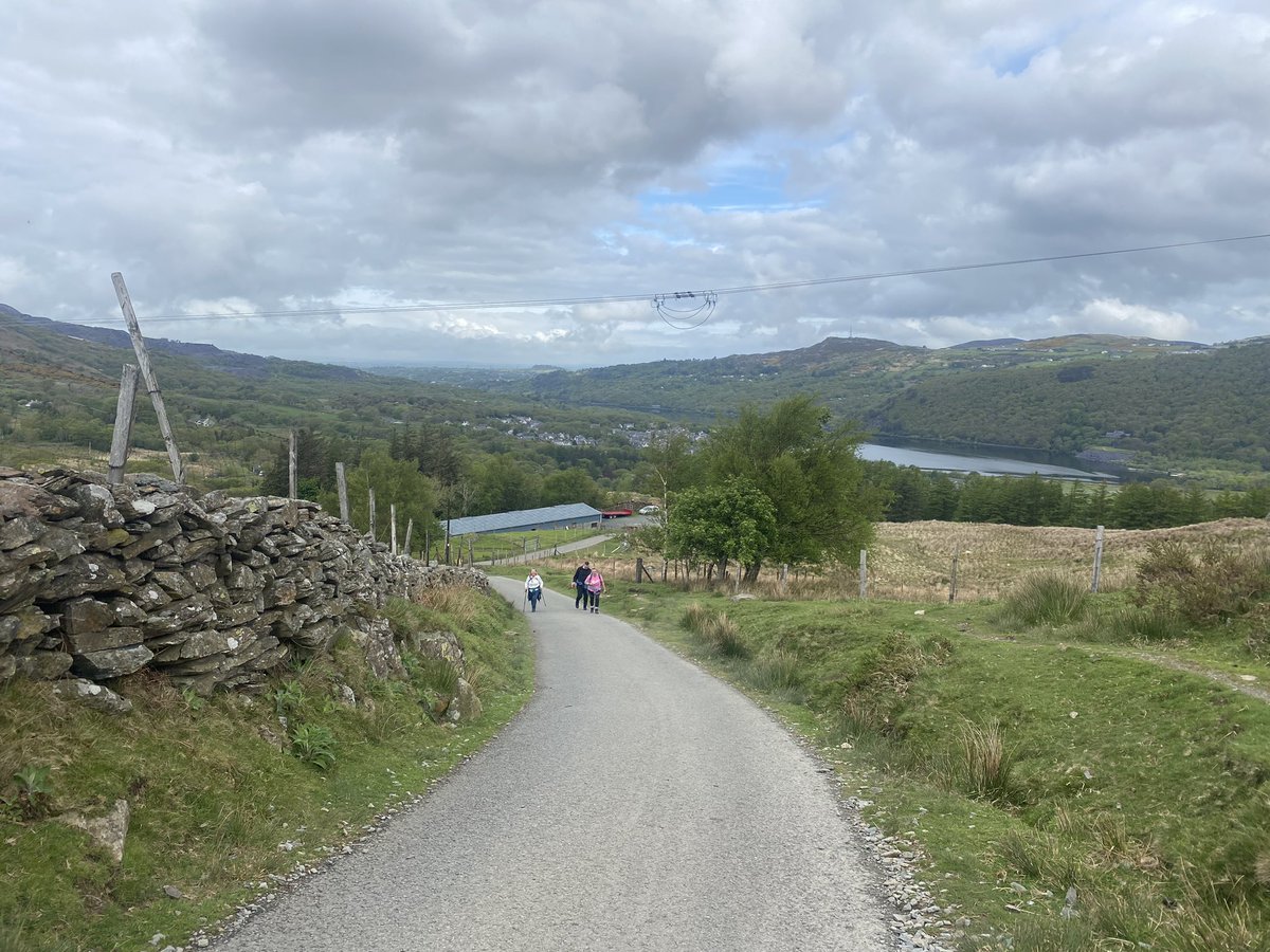 Carol Kavanagh tweet media