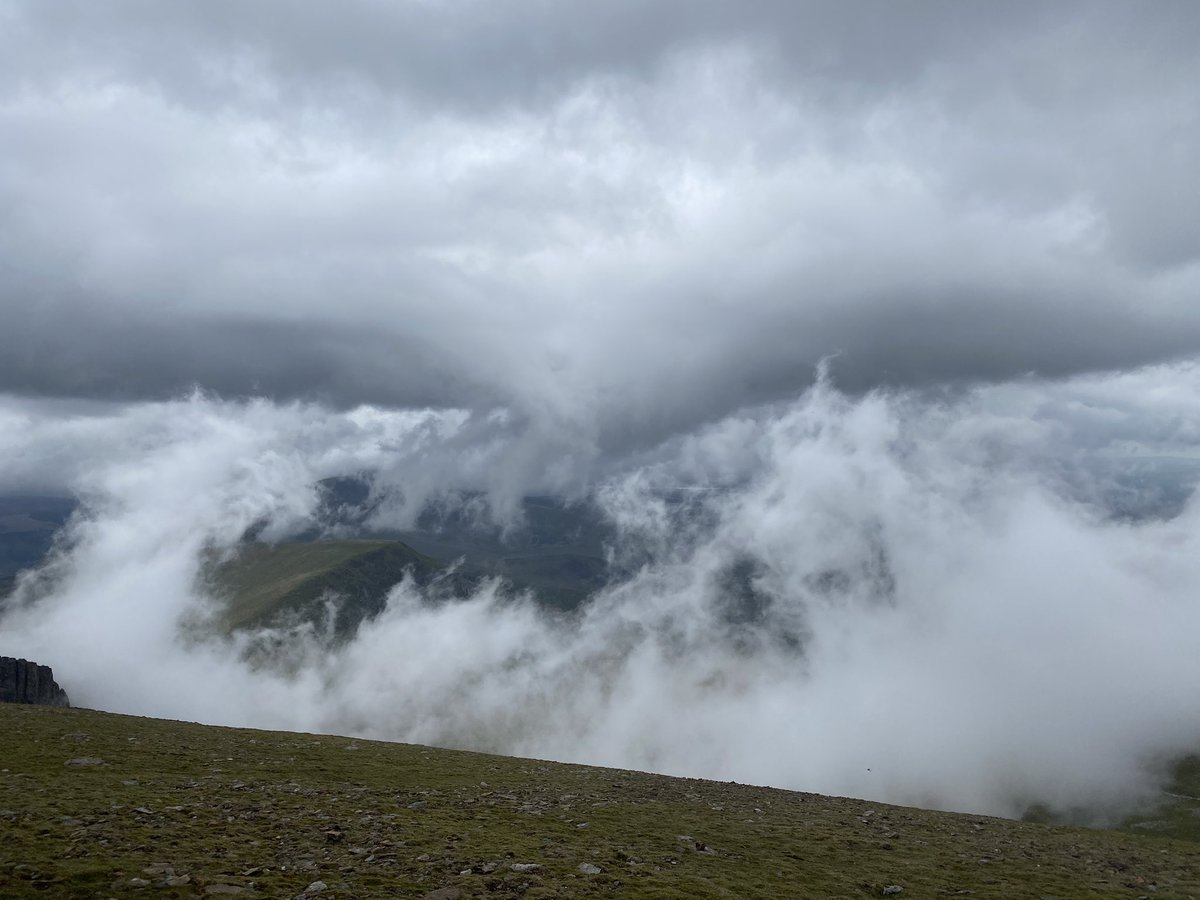 Carol Kavanagh tweet media