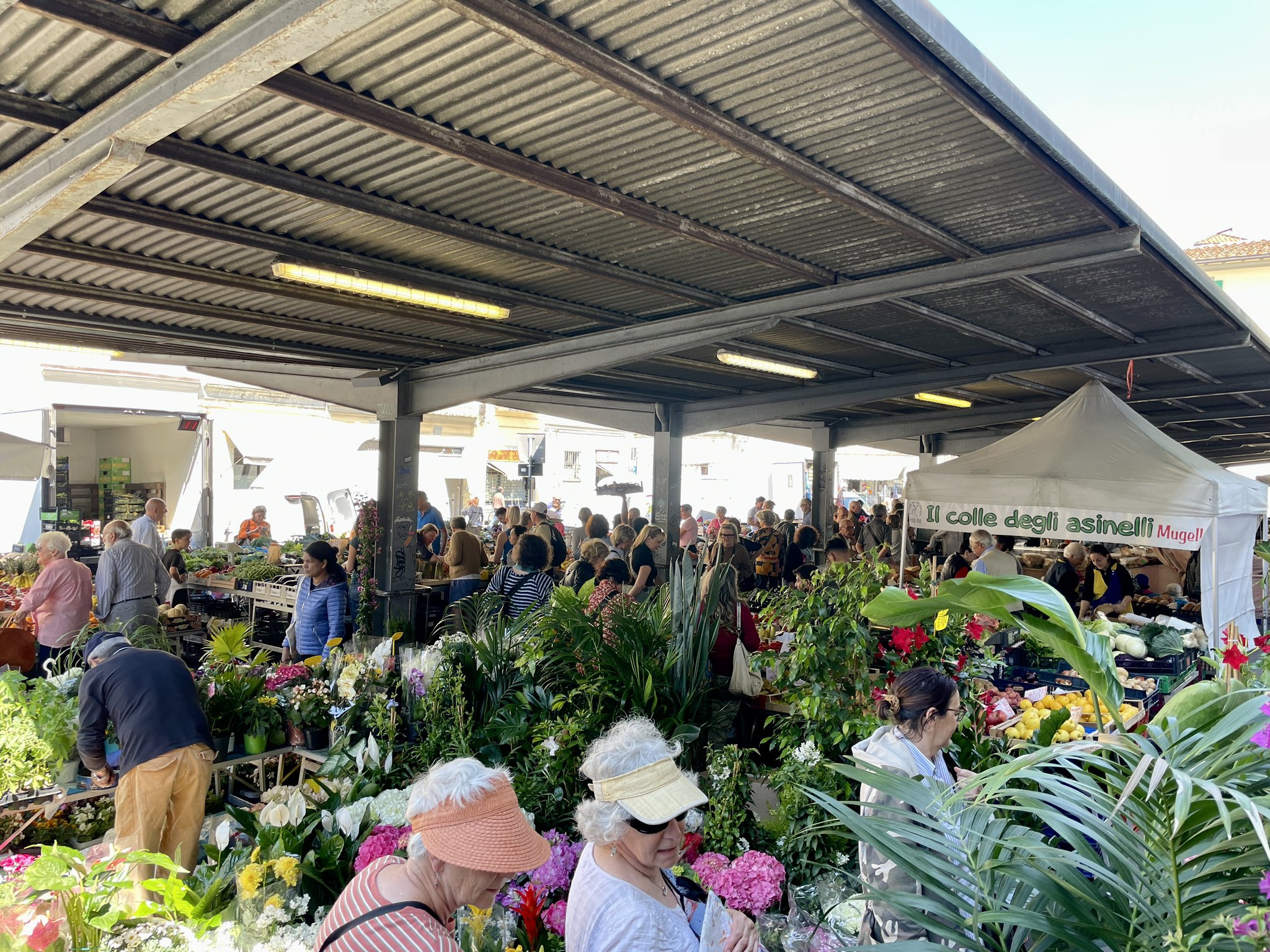 ペルバッコ on Twitter 