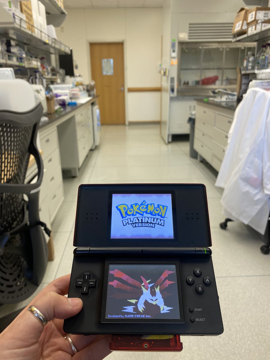 Frederika Sullivan (she/her) tweet media