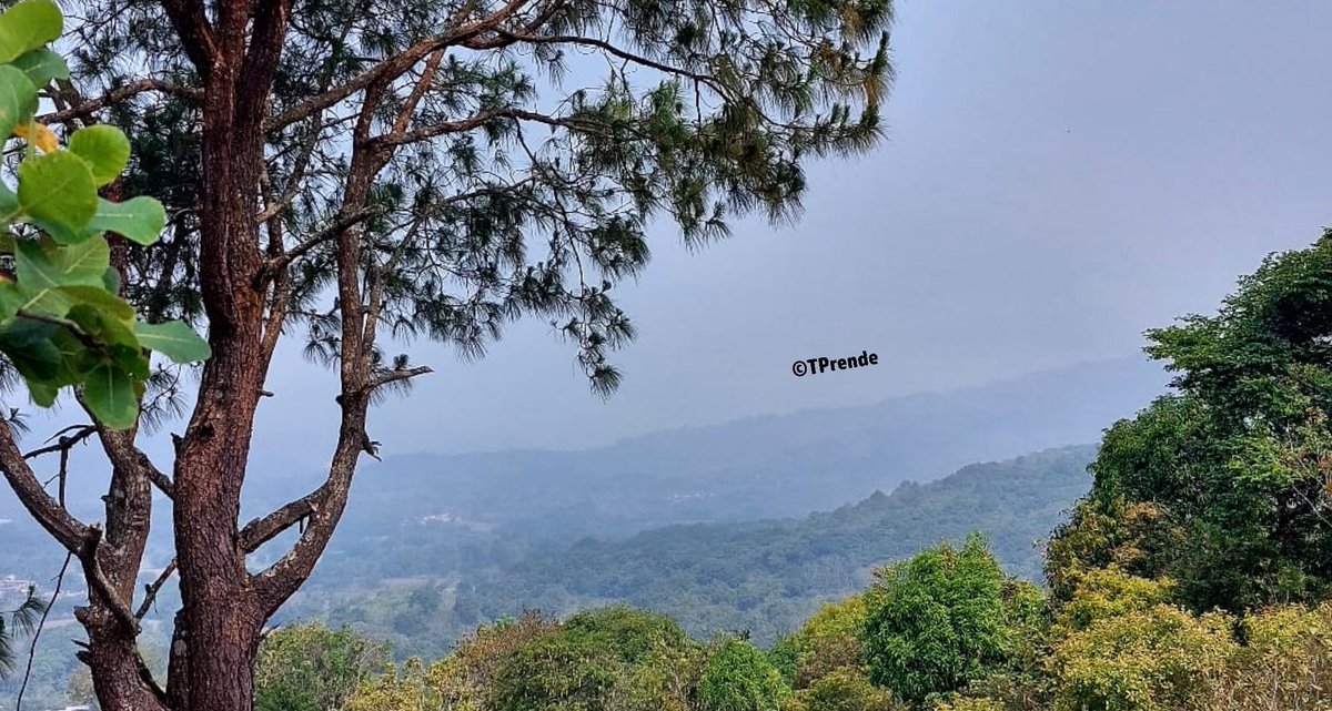 Tprende's tweet photo. Así lucen los cielos de #Putla, ni el gobierno municipal, ni el @GobOax, la @Ambiente_GobOax han declarado contingencia ambiental; en estos días previo al inicio de temporada de lluvias se incrementan los trabajos de #rozayquema en la zona. https://t.co/ESCvAkmfoz