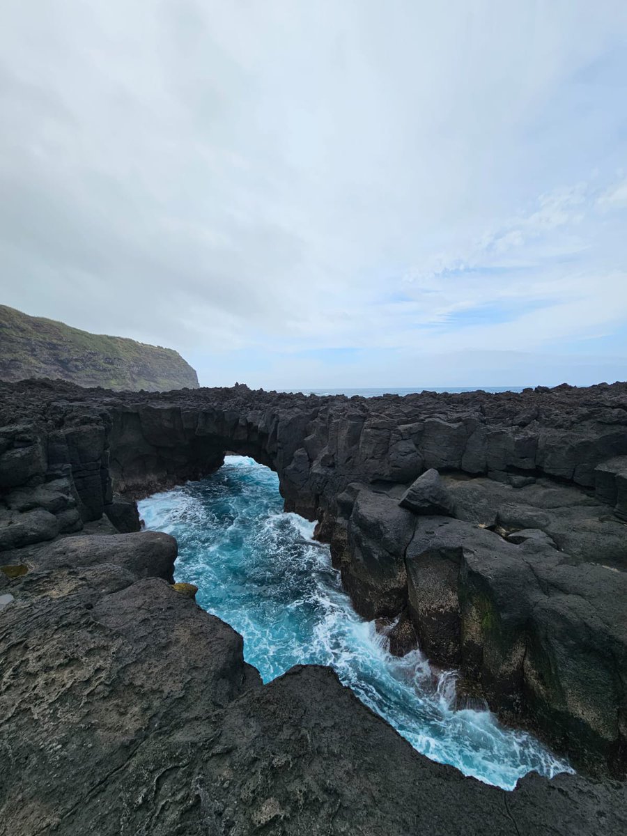 valenVQ's tweet photo. Les crabes d'Açores https://t.co/bx3RfhORUW