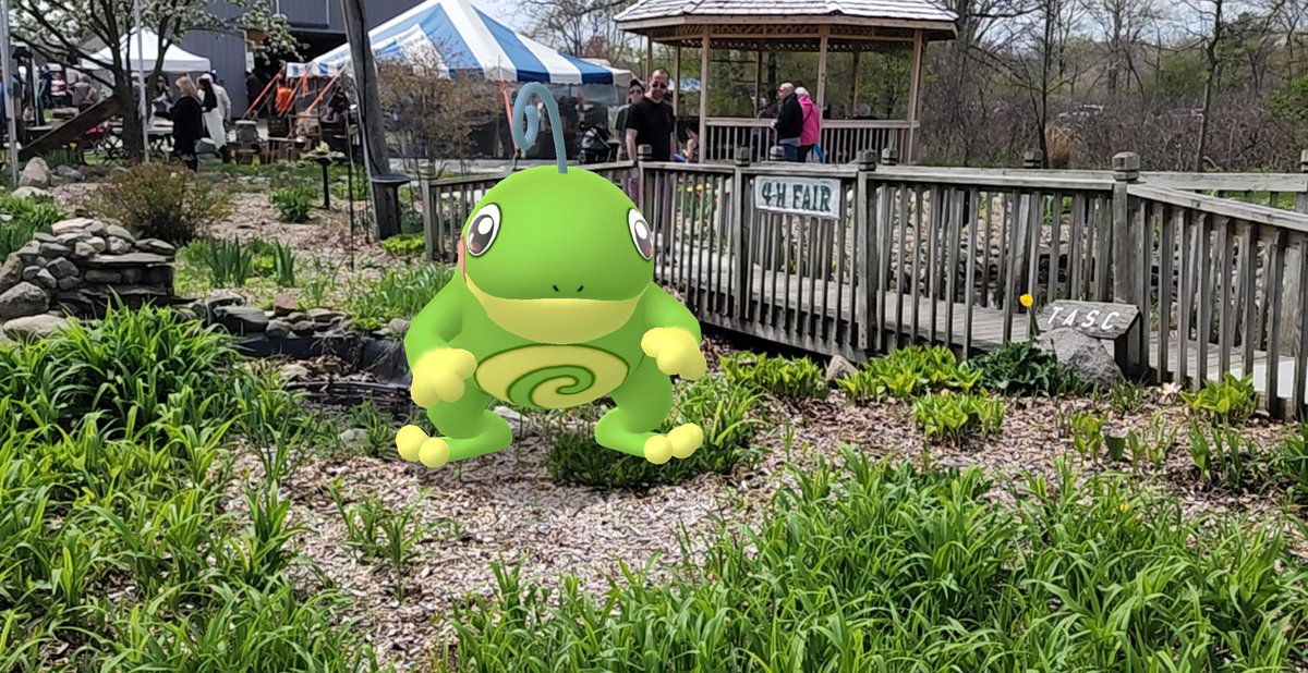 Owleyes_3's tweet photo. Out of the pond
#ARofTheDay #politoad #pokemon #PokemonGO #pokemonsnap #Go_snapshot https://t.co/ZGddZ0oI3Z
