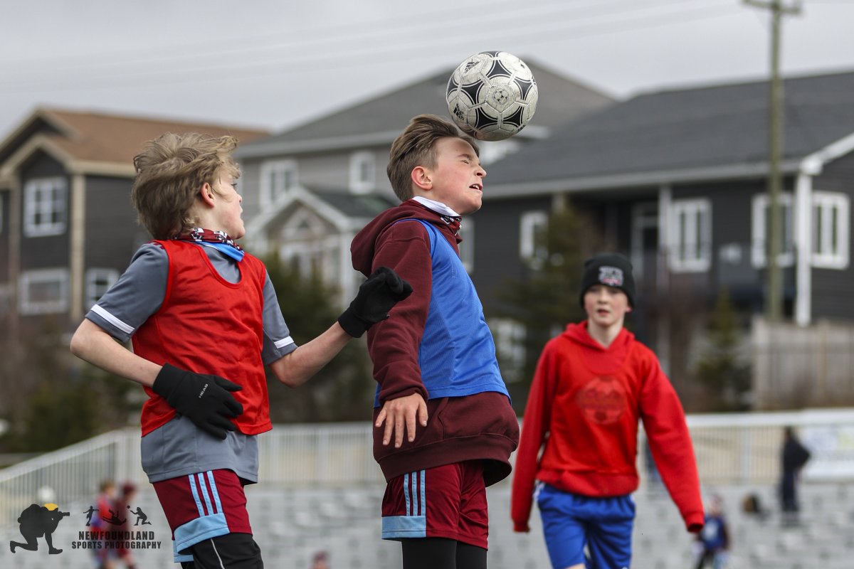 Newfoundland Sports Photos tweet media
