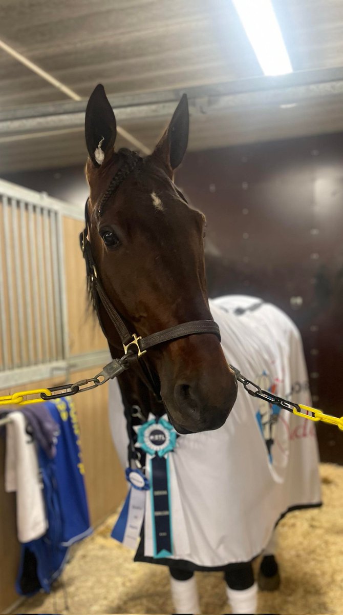 Laredo Boko gjorde ett topplopp när han vann Bronsdiv på #v75 <a href="/abytravet/">Åbytravet</a> 🥇🤩🐴 Efter en svår inledning så förstod han stretchen på upploppet &amp; vann säkert.