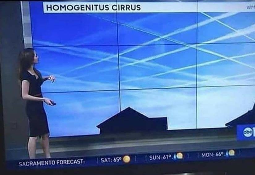 RebelionNOM's tweet photo. Homo = hombre 
Genitus = nacido, generado

Cirrus Homogenitus  = nube generada por el hombre

¡Así me gusta! 😎 https://t.co/d9gTBC1qm0