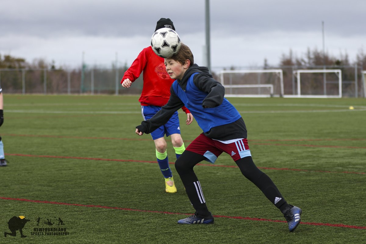 Newfoundland Sports Photos tweet media